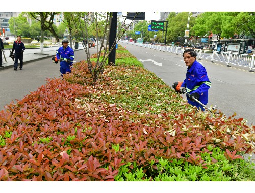 扎敦水电站大门绿化工程