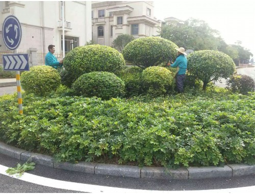 博鱼boyu官方网站：天门城市绿化工程包括哪些项目和内容